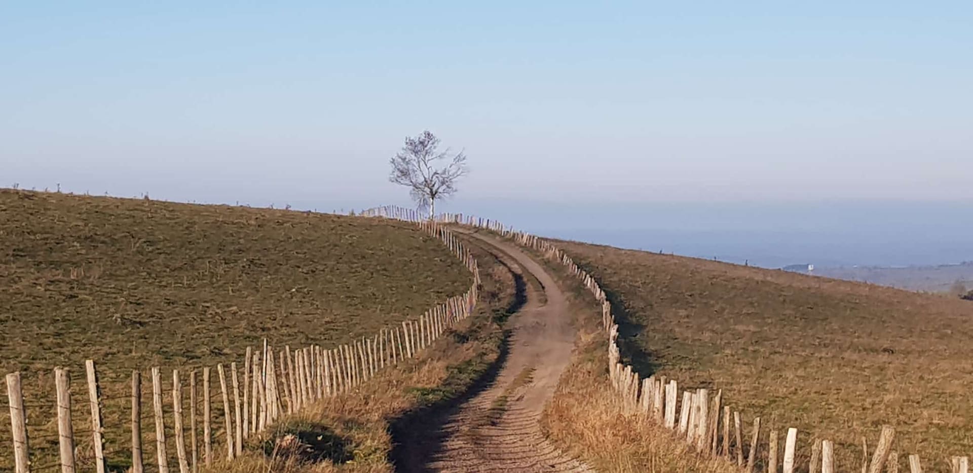 CHEMIN PLATEAU TRIZAC CANTAL