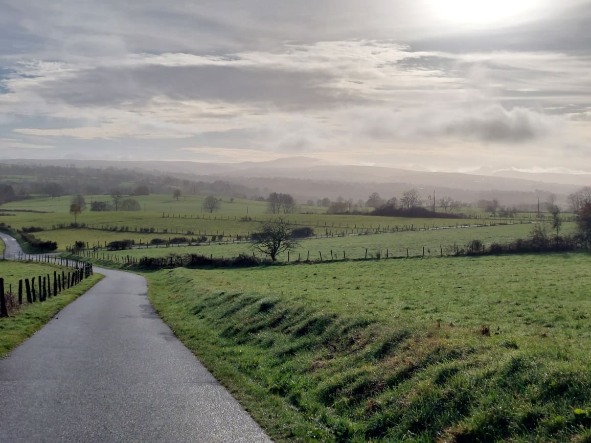 Les Paysages Du Plateau